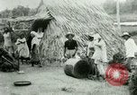 Image of rice cultivation Philippines, 1915, second 49 stock footage video 65675078023