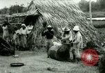 Image of rice cultivation Philippines, 1915, second 52 stock footage video 65675078023
