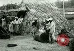 Image of rice cultivation Philippines, 1915, second 53 stock footage video 65675078023