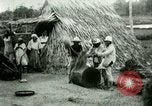 Image of rice cultivation Philippines, 1915, second 54 stock footage video 65675078023