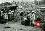 Image of rice cultivation Philippines, 1915, second 55 stock footage video 65675078023