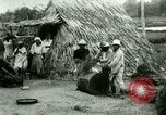 Image of rice cultivation Philippines, 1915, second 56 stock footage video 65675078023