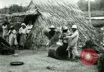 Image of rice cultivation Philippines, 1915, second 57 stock footage video 65675078023