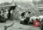 Image of rice cultivation Philippines, 1915, second 60 stock footage video 65675078023