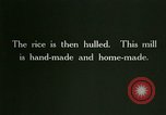 Image of rice cultivation Philippines, 1915, second 61 stock footage video 65675078023