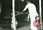 Image of rice cultivation Philippines, 1915, second 62 stock footage video 65675078023