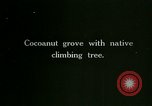 Image of coconut cultivation Philippines, 1915, second 1 stock footage video 65675078024
