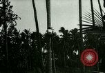 Image of coconut cultivation Philippines, 1915, second 3 stock footage video 65675078024