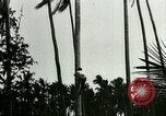 Image of coconut cultivation Philippines, 1915, second 6 stock footage video 65675078024