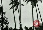 Image of coconut cultivation Philippines, 1915, second 8 stock footage video 65675078024