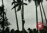 Image of coconut cultivation Philippines, 1915, second 14 stock footage video 65675078024