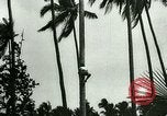 Image of coconut cultivation Philippines, 1915, second 16 stock footage video 65675078024