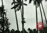 Image of coconut cultivation Philippines, 1915, second 18 stock footage video 65675078024