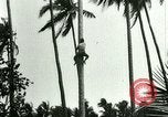 Image of coconut cultivation Philippines, 1915, second 20 stock footage video 65675078024