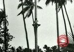 Image of coconut cultivation Philippines, 1915, second 21 stock footage video 65675078024