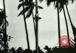 Image of coconut cultivation Philippines, 1915, second 25 stock footage video 65675078024