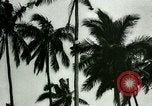 Image of coconut cultivation Philippines, 1915, second 37 stock footage video 65675078024