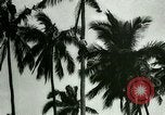 Image of coconut cultivation Philippines, 1915, second 38 stock footage video 65675078024
