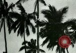 Image of coconut cultivation Philippines, 1915, second 39 stock footage video 65675078024