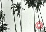 Image of coconut cultivation Philippines, 1915, second 40 stock footage video 65675078024
