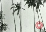Image of coconut cultivation Philippines, 1915, second 41 stock footage video 65675078024