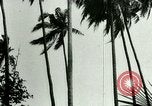 Image of coconut cultivation Philippines, 1915, second 44 stock footage video 65675078024