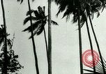 Image of coconut cultivation Philippines, 1915, second 46 stock footage video 65675078024