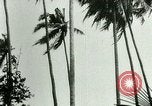 Image of coconut cultivation Philippines, 1915, second 48 stock footage video 65675078024