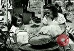 Image of agriculture Philippines, 1946, second 23 stock footage video 65675078026