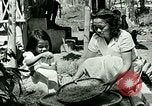 Image of agriculture Philippines, 1946, second 25 stock footage video 65675078026