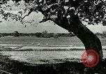 Image of agriculture Philippines, 1946, second 30 stock footage video 65675078026