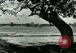 Image of agriculture Philippines, 1946, second 31 stock footage video 65675078026