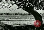Image of agriculture Philippines, 1946, second 32 stock footage video 65675078026