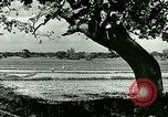 Image of agriculture Philippines, 1946, second 33 stock footage video 65675078026