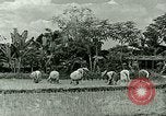 Image of agriculture Philippines, 1946, second 35 stock footage video 65675078026