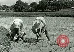 Image of agriculture Philippines, 1946, second 40 stock footage video 65675078026