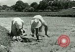 Image of agriculture Philippines, 1946, second 41 stock footage video 65675078026