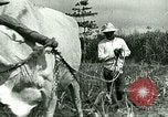 Image of agriculture Philippines, 1946, second 60 stock footage video 65675078026