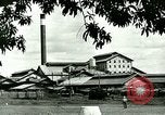 Image of agriculture Philippines, 1946, second 61 stock footage video 65675078026