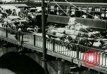 Immagine di Ponte di Spagna Isola di Luzon nelle Filippine, 1915, secondo 15 filmato di repertorio 65675078036