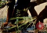 Standbild Weg des Lebens Philippinen, 1971, aus Sekunde 11 historischem Filmmaterial Videoclip 65675078050