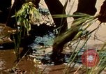 Standbild Weg des Lebens Philippinen, 1971, aus Sekunde 12 historischem Filmmaterial Videoclip 65675078050