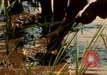 Standbild Weg des Lebens Philippinen, 1971, aus Sekunde 13 historischem Filmmaterial Videoclip 65675078050