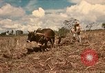 Image of family system Philippines, 1971, second 1 stock footage video 65675078052