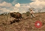 Image of family system Philippines, 1971, second 3 stock footage video 65675078052