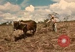 Image of family system Philippines, 1971, second 4 stock footage video 65675078052