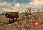 Image of family system Philippines, 1971, second 5 stock footage video 65675078052