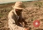 Image of family system Philippines, 1971, second 6 stock footage video 65675078052