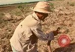 Image of family system Philippines, 1971, second 7 stock footage video 65675078052
