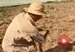 Image of family system Philippines, 1971, second 8 stock footage video 65675078052